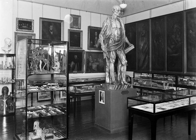 digitised image 1