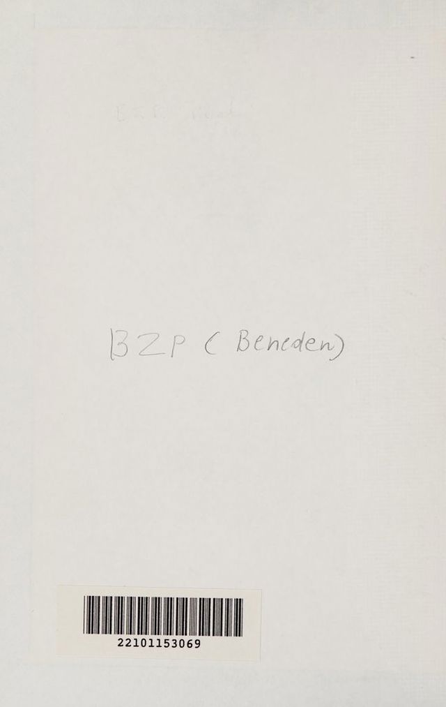 digitised image 2