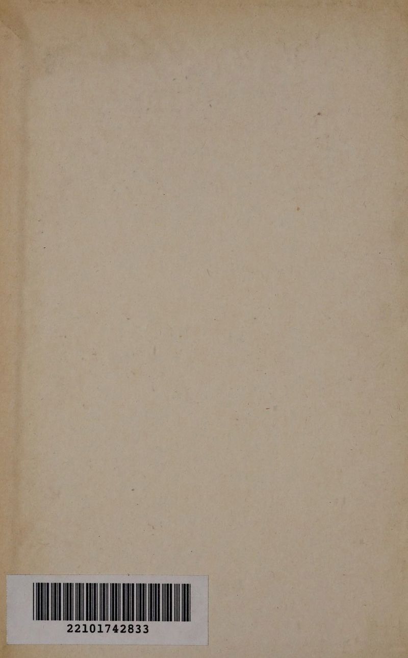 22101742833 TE