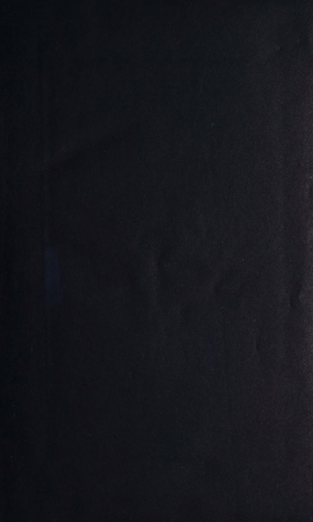 digitised image 3