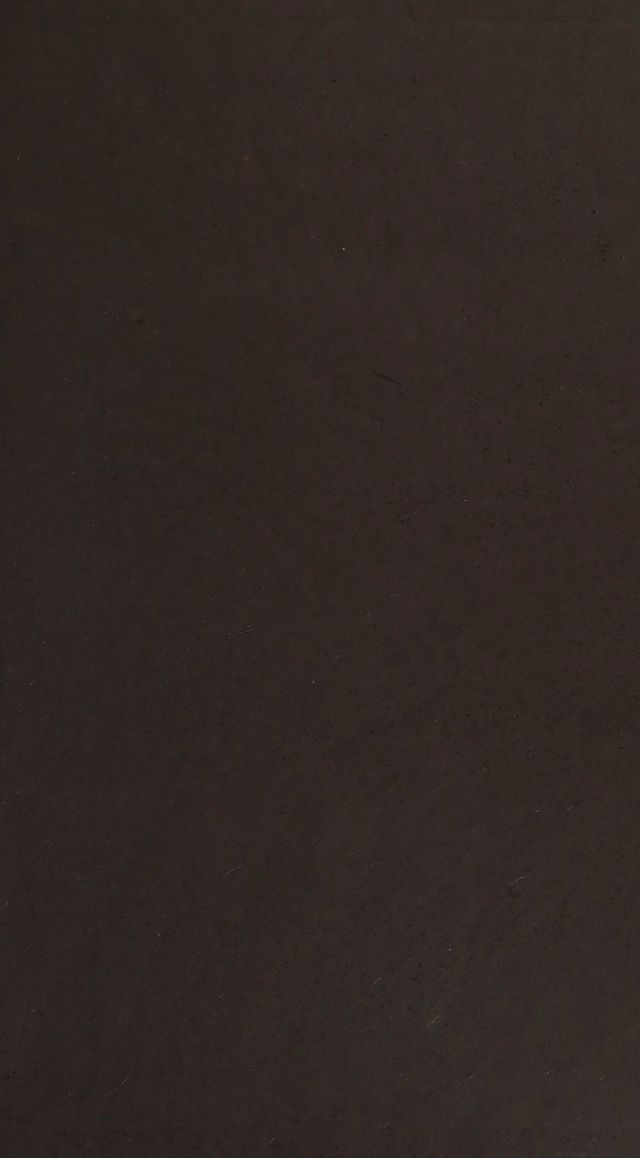 digitised image 3
