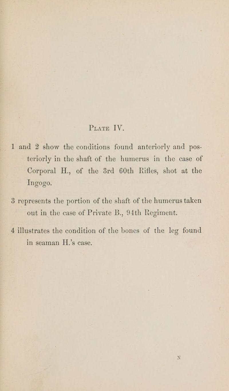 1 and 2 show the conditions found anteriorly and pos- teriorly in the shaft of the humerus in the case of Corporal H., of the 8rd 60th Rifles, shot at the Ingogo. 3 represents the portion of the shaft of the humerus taken out in the case of Private B., 94th Regiment. 4 illustrates the condition of the bones of the leg found in seaman H.’s case.