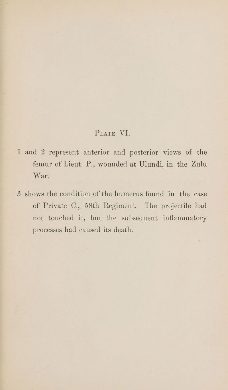 1 and 2 represent anterior and posterior views of the femur of Lieut. P., wounded at Ulundi, in the Zulu War. 8 shows the condition of the humerus found in the case of Private C., 58th Regiment. The projectile had not touched it, but the subsequent inflammatory processes had caused its death.