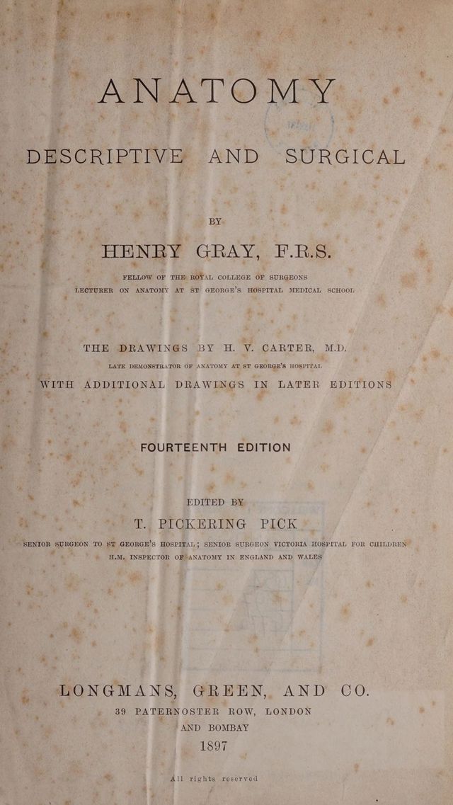 digitised image 3