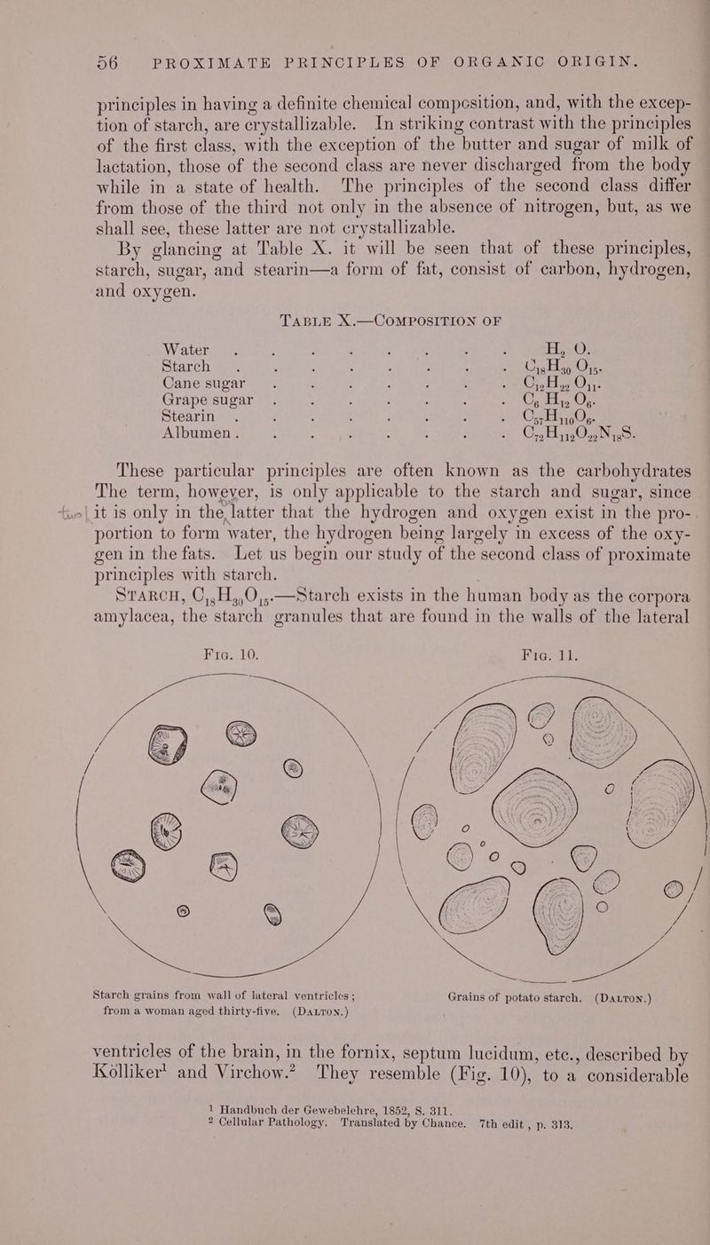 principles in having a definite chemical composition, and, with the excep- tion of starch, are crystallizable. In striking contrast with the principles of the first class, with the exception of the butter and sugar of milk of lactation, those of the second class are never discharged from the body while in a state of health. The principles of the second class differ from those of the third not only in the absence of nitrogen, but, as we shall see, these latter are not crystallizable. By glancing at Table X. it will be seen that of these principles, starch, sugar, and stearin—a form of fat, consist of carbon, hydrogen, and oxygen. TABLE X.—COMPOSITION OF Water. ; : : ar Rg , , Piast): Starch — . : : ; ; : nan Oe a Pie be Cane sugar : : : eS ee Be Grape sugar. A : : BE ES Pi dB Stearin . : 5 ; ' : os 0 a8 Albumen . : ; ; & Oe Hee These particular principles are often known as the carbohydrates The term, however, is only applicable to the starch and sugar, since (it is only in the, latter that the hydrogen and oxygen exist in the pro-. portion to form water, the hydrogen being largely in excess of the oxy- gen in the fats. Let us begin our study of the second class of proximate principles with starch. STaRcH, C,,H,,O,,.—Starch exists in the human body as the corpora amylacea, the starch granules that are found in the walls of the lateral Fia. 10. Miariiz ventricles of the brain, in the fornix, septum lucidum, ete., described by Ksolliker’ and Virchow.’ They resemble (Fig. 10), to a considerable 1 Handbuch der Gewebelehre, 1852, 8. 311. 2 Cellular Pathology. Translated by Chance. 7th edit » De Blis.