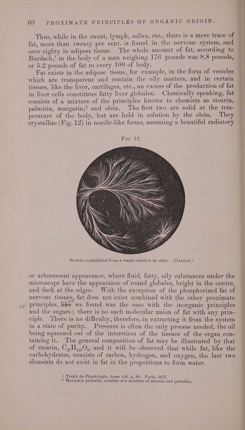 Thus, while in the sweat, lymph, saliva, ete., there is a mere trace of fat, more than twenty per cent. is found in the nervous system, and over eighty in adipose tissue. ‘The whole amount of fat, according to Burdach,! in the body of a man weighing 176 pounds was 8.8 pounds, or 5.2 pounds of fat to every 100 of body. | Fat exists in the adipose tissue, for example, in the form of vesicles which are transparent and contain the oily matters, and in certain tissues, like the liver, cartilages, etc., an excess of the production of fat in liver cells constitutes fatty liver globules. Chemically speaking, fat consists of a mixture of the principles known to chemists as stearin, palmitin, margarin,” and olein. ‘The first two are solid at the tem- perature of the body, but are held in solution by the olem. They crystallize (Fig. 12) in needle-like forms, assuming a beautiful radiatory Stearin crystallized from a warm solution in olein. (DALTON.) or arborescent appearance, where fluid, fatty, oily substances under the microscope have the appearance of round globules, bright in the centre, and dark at the edges. With the exception of the phosphorized fat of nervous tissues, fat does not exist combined with the other proximate principles, ike we found was the case with the inorganic principles and the sugars; there is no such molecular union of fat with any prin- ciple. ‘here is no difficulty, therefore, in extracting it from the system in a state of purity. Pressure is often the only process needed, the oil being squeezed out of the interstices of the tissues of the organ con- taining it. ‘The general composition of fat may be illustrated by that of stearin, O,,H,,,O,, and it will be observed that while fat, like the carbohydrates, consists of carbon, hydrogen, and oxygen, the last two elements do not exist in fat in the proportions to form water. Traité de Physiologie, tome viii. p. 80. Paris, 1857. 1 2 Margarin probably consists of a mixture of stearin and palmitin.