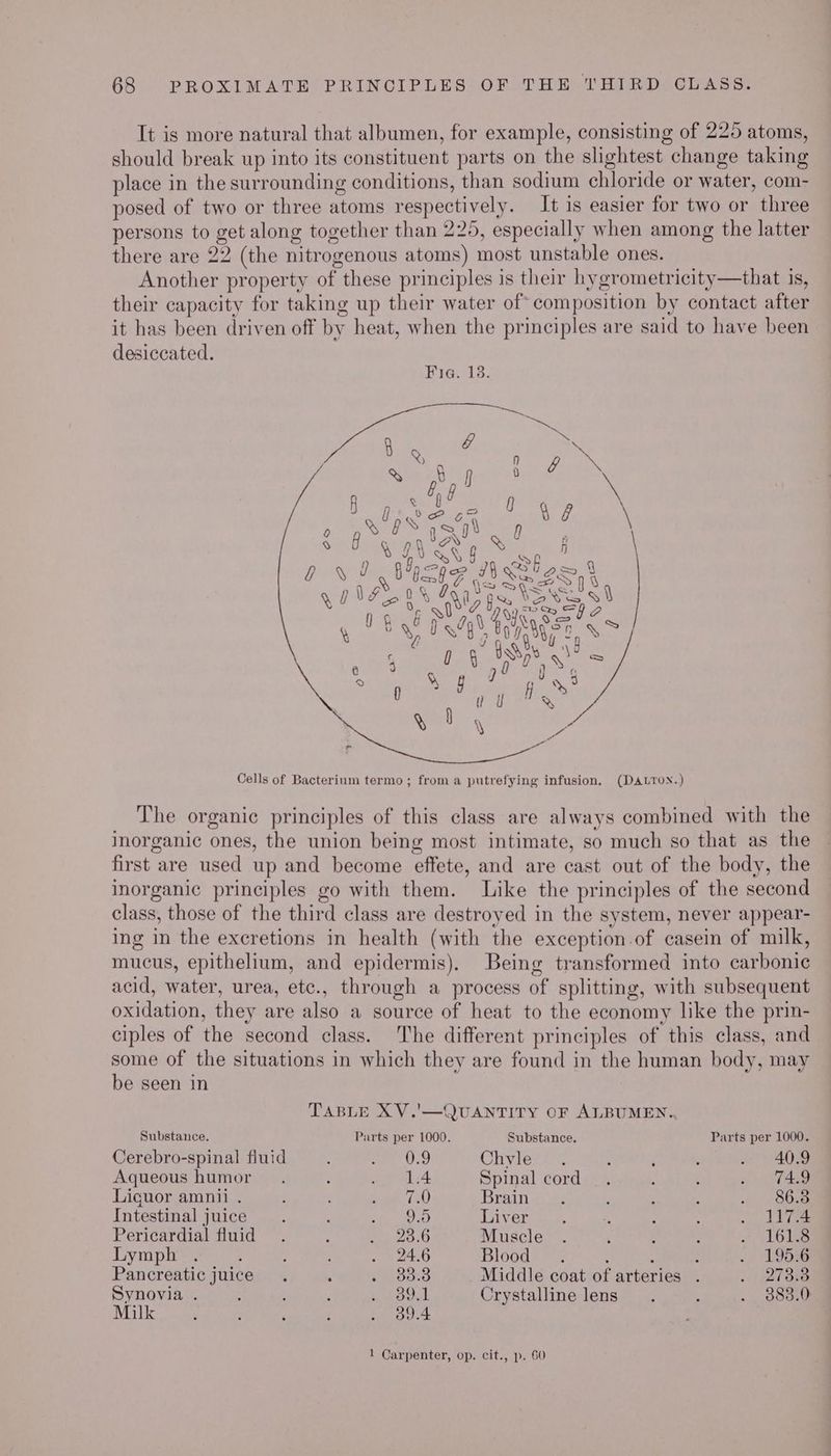 It is more natural that albumen, for example, consisting of 225 atoms, should break up into its constituent parts on the slightest change taking place in the surrounding conditions, than sodium chloride or water, com- posed of two or three atoms respectively. It is easier for two or three persons to get along together than 225, especially when among the latter there are 22 (the nitrogenous atoms) most unstable ones. Another property of these principles is their hygrometricity—that is, their capacity for taking up their water of composition by contact after it has been driven off by heat, when the principles are said to have been desiccated. Cells of Bacterium termo ; from a putrefying infusion. (DAL?TON.) The organic principles of this class are always combined with the inorganic ones, the union being most intimate, so much so that as the first are used up and become effete, and are cast out of the body, the inorganic principles go with them. Like the principles of the second class, those of the third class are destroyed in the system, never appear- ing in the excretions in health (with the exception of casein of milk, mucus, epithelium, and epidermis). Being transformed into carbonic acid, water, urea, etc., through a process of splitting, with subsequent oxidation, they are also a source of heat to the economy like the prin- ciples of the second class. The different principles of this class, and some of the situations in which they are found in the human body, may be seen in TABLE XV.'—QUANTITY OF ALBUMEN. Substance. Parts per 1000. Substance. Parts per 1000. Cerebro-spinal fluid Sr Chvle_. ; d i 4028 Aqueous humor. : ao “4 Spinal cord. . ' » TA Liguor amnii . : a 0A) Brain . : : : . 86.8 Intestinal juice ; sue eh ad Diver p. 2. “. ; : aka fee Pericardial fluid . ; 3.8 Muscle . ‘ ‘ ; ALi Lynpie 2 ; : . 24.6 Blood : : : -« LOGKG Pancreatic juice. , . 33.8 Middle coat of arteries . ATSB Synovia . : , PaO) Crystalline lens. ' . , 883.0 Milk ‘ : ; : . 89.4 : 1 Carpenter, op. cit., p. 60