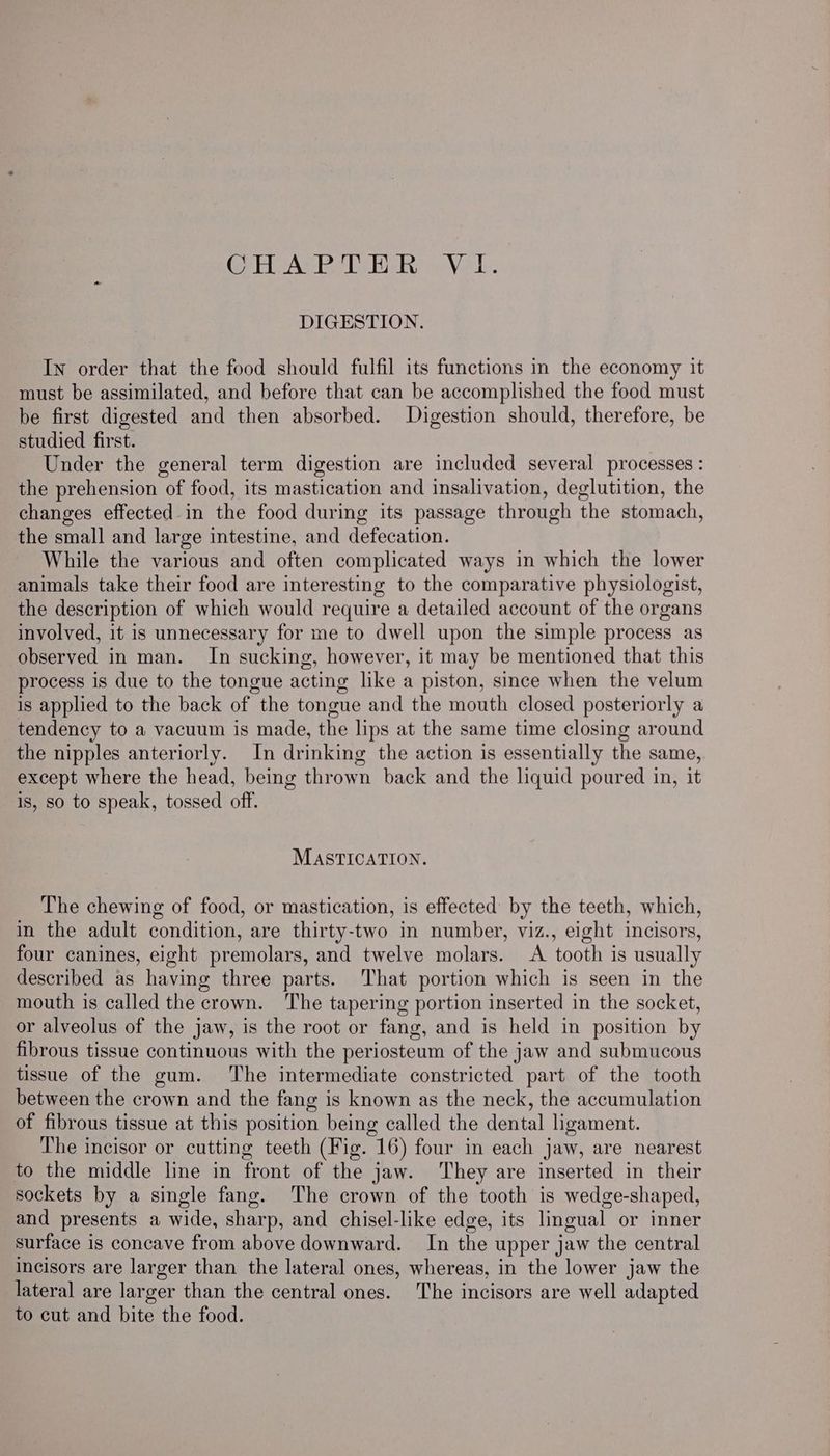 ey itAse ss Heke Ve lL. DIGESTION. In order that the food should fulfil its functions in the economy it must be assimilated, and before that can be accomplished the food must be first digested and then absorbed. Digestion should, therefore, be studied first. Under the general term digestion are included several processes : the prehension of food, its mastication and insalivation, deglutition, the changes effected-in the food during its passage through the stomach, the small and large intestine, and defecation. While the various and often complicated ways in which the lower animals take their food are interesting to the comparative physiologist, the description of which would require a detailed account of the organs involved, it is unnecessary for me to dwell upon the simple process as observed in man. In sucking, however, it may be mentioned that this process is due to the tongue acting like a piston, since when the velum is applied to the back of the tongue and the mouth closed posteriorly a tendency to a vacuum is made, the lips at the same time closing around the nipples anteriorly. In drinking the action is essentially the same, except where the head, being thrown back and the liquid poured in, it is, so to speak, tossed off. MASTICATION. The chewing of food, or mastication, is effected by the teeth, which, in the adult condition, are thirty-two in number, viz., eight incisors, four canines, eight premolars, and twelve molars. A tooth is usually described as having three parts. That portion which is seen in the mouth is called the crown. The tapering portion inserted in the socket, or alveolus of the jaw, is the root or fang, and is held in position by fibrous tissue continuous with the periosteum of the jaw and submucous tissue of the gum. ‘The intermediate constricted part of the tooth between the crown and the fang is known as the neck, the accumulation of fibrous tissue at this position being called the dental ligament. The incisor or cutting teeth (Fig. 16) four in each jaw, are nearest to the middle line in front of the jaw. They are inserted in their sockets by a single fang. The crown of the tooth is wedge-shaped, and presents a wide, sharp, and chisel-like edge, its lingual or inner surface is concave from above downward. In the upper jaw the central incisors are larger than the lateral ones, whereas, in the lower jaw the lateral are larger than the central ones. The incisors are well adapted to cut and bite the food.