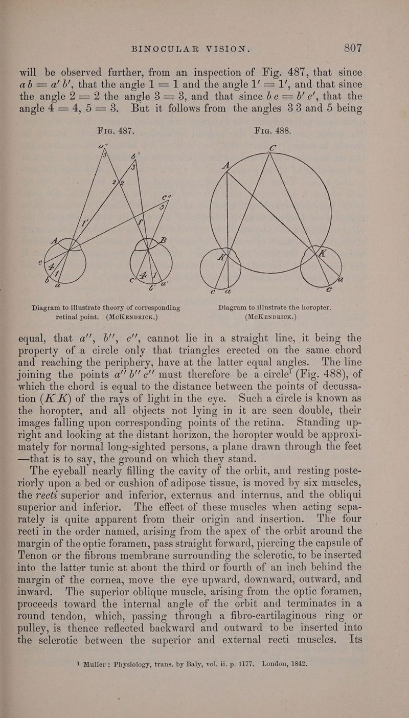 will be observed further, from an inspection of Fig. 487, that since ab =a’ b’, that the angle 1 = 1 and the angle 1’ = 1’, and that since the angle 2 = 2 the angle 3 = 38, and that since bc = 6’ c’, that the angle 4 = 4,5 = 3. But it follows from the angles 33 and 5 being Pig, 48a. Fig. 488. Diagram to illustrate theory of corresponding Diagram to illustrate the horopter. retinal point. (McKENpRICK.) (McKENnpRICK.) equal, that a’’, 6’’, ¢’’, cannot lie in a straight line, it being the property of a circle only that triangles erected on the same chord and reaching the periphery, have at the latter equal angles. ‘The line joining the points a/’b’’c’’ must therefore be a circle’ (Fig. 488), of which the chord is equal to the distance between the points of decussa- tion (K K) of the rays of light in the eye. Such a circle is known as the horopter, and all objects not lying in it are seen double, their images falling upon corresponding points of the retina. Standing up- right and looking at the distant horizon, the horopter would be approxi- mately for normal long-sighted persons, a plane drawn through the feet —that is to say, the ground on which they stand. The eyeball nearly filling the cavity of the orbit, and resting poste- riorly upon a bed or cushion of adipose tissue, is moved by six muscles, the rect? superior and inferior, externus and internus, and the obliqui superior and inferior. The effect of these muscles when acting sepa- rately is quite apparent from their origin and insertion. The four recti in the order named, arising from the apex of the orbit around the margin of the optic foramen, pass straight forward, piercing the capsule of Tenon or the fibrous membrane surrounding the sclerotic, to be inserted — into the latter tunic at about the third or fourth of an inch behind the margin of the cornea, move the eye upward, downward, outward, and inward. The superior oblique muscle, arising from the optic foramen, proceeds toward the internal angle of the orbit and terminates in a round tendon, which, passing through a fibro-cartilaginous ring or pulley, is thence reflected backward and outward to be inserted into the sclerotic between the superior and external recti muscles. Its 1 Muller: Physiology, trans. by Baly, vol. ii. p. 1177. London, 1842.