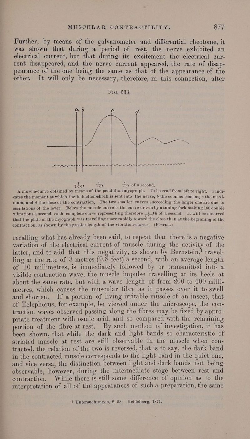 Further, by means of the galvanometer and differential rheotome, it was shown that during a period of rest, the nerve exhibited an electrical current, but that during its excitement the electrical cur- rent disappeared, and the nerve current appeared, the rate of disap- pearance of the one being the same as that of the appearance of the other. It will only be necessary, therefore, in this connection, after Vw ae aa pe ie 100) so: 35) of asecond. A muscle-curve obtained by means of the pendulummyograph. To be read from left to right. «a indi- cates the moment at which the induction-shock is sent into the nerve, b the commencement, c the maxi- mum, and d the close of the contraction. The two smaller curves succeeding the larger one are due to oscillations of the lever. Below the muscle-curve is the curve drawn by a tuning-fork making 180 double vibrations a second, each complete curve representing therefore _1_th of a second. It will be observed that the plate of the myograph was travelling more rapidly toward the close than at the beginning of the contraction, as shown by the greater length of the vibration-curves. (FosTER.) recalling what has already been said, to repeat that there is a negative variation of the electrical current of muscle during the activity of the latter, and to add that this negativity, as shown by Bernstein,’ travel- ling at the rate of 3 metres (9.8 feet) a second, with an average length of 10 millimetres, is immediately followed by or transmitted into a visible contraction wave, the muscle impulse travelling at its heels at about the same rate, but with a wave length of from 200 to 400 milli- metres, which causes the muscular fibre as it passes over it to swell and shorten. If a portion of living irritable muscle of an insect, that of Telephorus, for example, be viewed under the microscope, the con- traction waves observed passing along the fibres may be fixed by appro- priate treatment with osmic acid, and so compared with the remaining portion of the fibre at rest. By such method of investigation, it has been shown, that while the dark and lght bands so characteristic of striated muscle at rest are still observable in the muscle when con- tracted, the relation of the two is reversed, that is to say, the dark band in the contracted muscle corresponds to the light band in the quiet one, and vice versa, the distinction between light and dark bands not being observable, however, during the intermediate stage between rest and contraction. While there is still some difference of opinion as to the interpretation of all of the appearances of such a preparation, the same 1 Untersuchungen, 8S. 58. Heidelberg, 1871.
