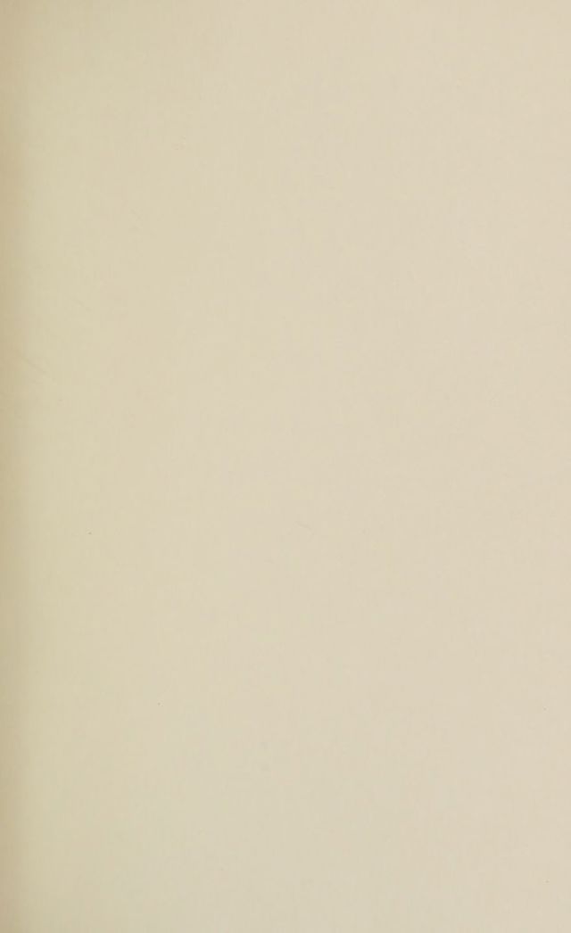digitised image 3