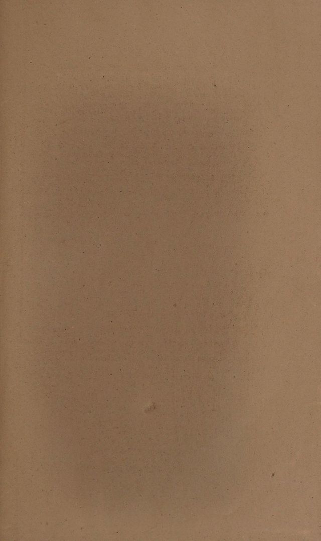digitised image 3