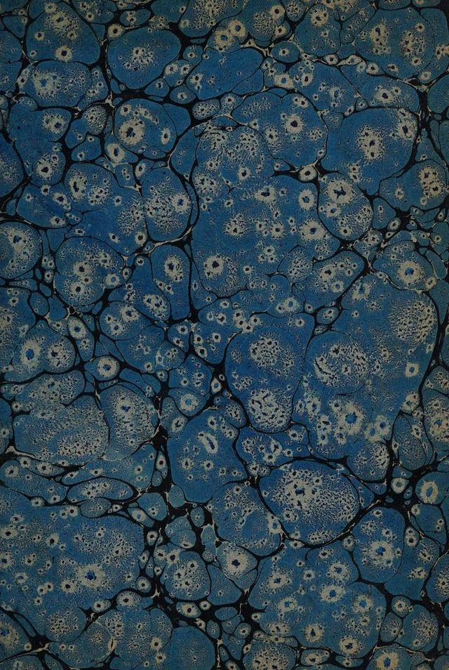 digitised image 3