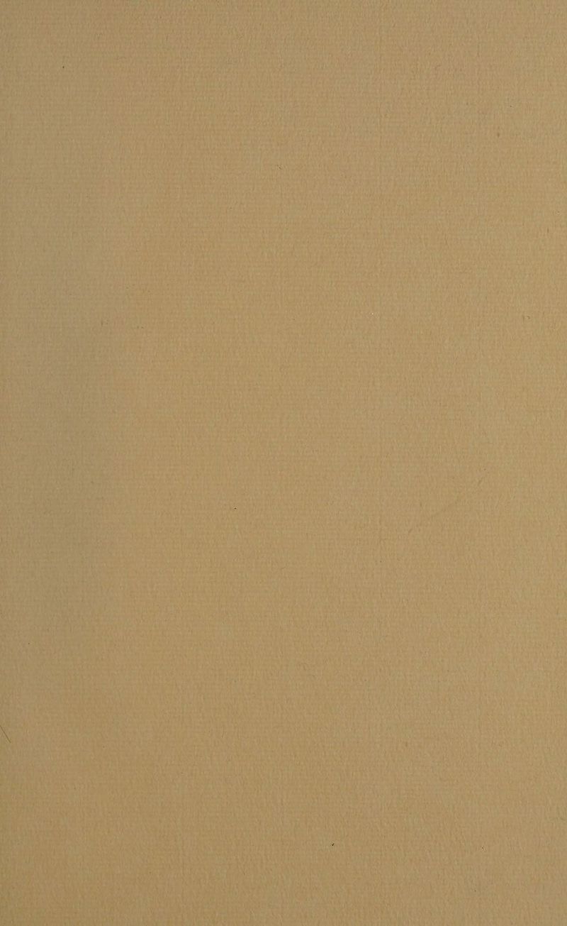 N 10 A TyTT behaart Ru Iveh i ER % N X wet RU He IR Y a 4 N en 1