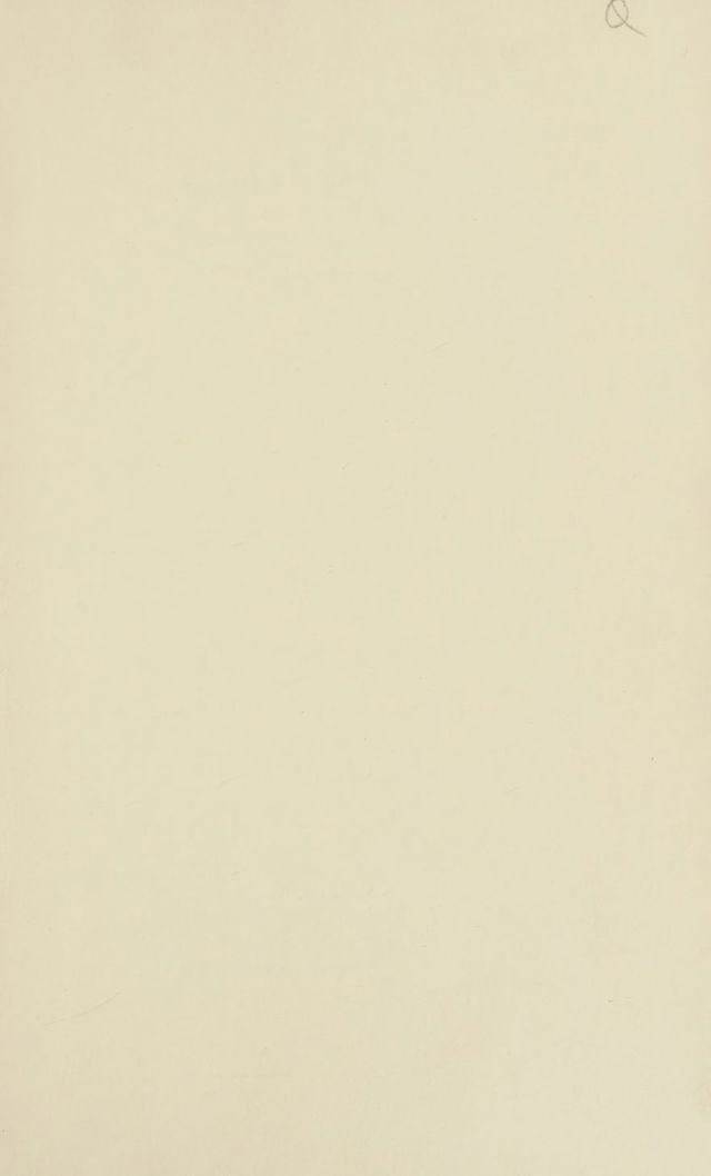 digitised image 3