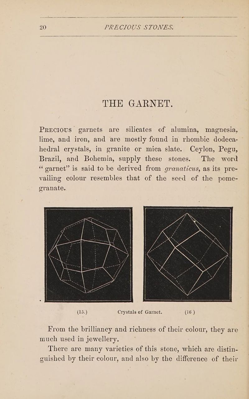 THE GARNET. Precious garnets are silicates of alumina, magnesia, lime, and iron, and are mostly found in rhombic dodeca- hedral crystals, in granite or mica slate. Ceylon, Pegu, Brazil, and Bohemia, supply these stones. The word ‘“‘ oarnet” is said to be derived from granaticus, as its pre- vailing colour resembles that of the seed of the pome- granate. (ia) Crystals of Garnet. (16 ) From the brillianey and richness of their colour, they are much used in jewellery. There are many varieties of this stone, which are distin- guished by their colour, and also by the difference of their
