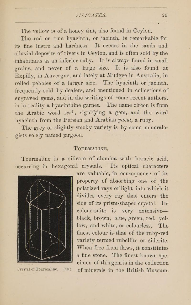The yellow is of a honey tint, also found in Ceylon. The red or true hyacinth, or jacinth, is remarkable for its fine lustre and hardness. It occurs in the sands and alluvial deposits of rivers in Ceylon, and is often sold by the inhabitants as an inferior ruby. It is always found in small grains, and never of a large size. It is also found at Expilly, in Auvergne, and lately at Mudgee in Australia, in rolled pebbles of a larger size. The hyacinth or jacinth, frequently sold by dealers, and mentioned in collections of engraved gems, and in the writings of some recent authors, is in reality a hyacinthine garnet. The name zircon is from the Arabie word zerk, signifying a gem, and the word hyacinth from the Persian and Arabian yacut, a ruby. The grey or slightly smoky variety is by some mineralo- gists solely named jargoon. TOURMALINE. Tourmaline is a silicate of alumina with boracic acid, occurring in hexagonal crystals. Its optical characters are valuable, in consequence of its Re property of absorbing one of the | D fidlarized rays of light into which it divides every ray that enters the side of its prism-shaped crystal. Its colour-suite is very extensive— black, brown, blue, green, red, yel- low, and white, or colourless. The finest colour is that of the ruby-red variety termed rubellite or siderite. When free from flaws, it constitutes a fine stone. The finest known spe- cimen of this gem is in the collection Crystal of Tourmaline. (23.) of minerals in the British Museum.