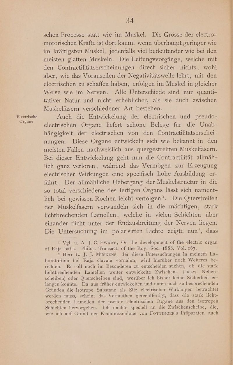 Flectrische Organe. 94 schen Processe statt wie im Muskel. Die Grösse der electro- motorischen Kräfte ist dort kaum, wenn überhaupt geringer wie im kräftigsten Muskel, jedenfalls viel bedeutender wie bei den meisten glatten Muskeln. Die Leitungsvorgänge, welche mit den Contractilitätserscheinungen direct sicher nichts, wohl aber, wie das Vorauseilen der Negativitätswelle lehrt, mit den electrischen zu schaffen haben, erfolgen im Muskel in gleicher Weise wie im Nerven. Alle Unterschiede sind nur quanti- tativer Natur und nicht erheblicher, als sie auch zwischen Muskelfasern verschiedener Art bestehen. Auch die Entwickelung der electrischen und pseudo- electrischen Organe liefert schöne Belege für die Unab- hängigkeit der electrischen von den Contractilitätserschei- nungen. Diese Organe entwickeln sich wie bekannt in den meisten Fällen nachweislich aus quergestreiften Muskelfasern. Bei dieser Entwickelung geht nun die Contractilität allmäh- lich ganz verloren, während das Vermögen zur Erzeugung electrischer Wirkungen eine specifisch hohe Ausbildung er- fährt. Der allmähliche Uebergang der Muskelstructur in die so total verschiedene des fertigen Organs lässt sich nament- lich bei gewissen Rochen leicht verfolgen‘. Die Querstreifen der Muskelfasern verwandeln sich in die mächtigen, stark lichtbrechenden Lamellen, welche in vielen Schichten über einander dicht unter der Endausbreitung der Nerven liegen. Die Untersuchung im polarisirten Lichte zeigte nun”, dass 2 Vgl. u. A. J. C. EwART, On the development of the electric organ of Raja batis. Philos. Transact. of the Roy. Soc. 1888. Vol. 167. boratorium bei Raja clavata vornahm, wird hierüber noch Weiteres be- richten. Er soll noch im Besonderen zu entscheiden suchen, ob die stark lichtbrechenden Lamellen weiter entwickelte Zwischen- (bezw. Neben- scheiben) oder Querscheiben sind, worüber ich bisher keine Sicherheit er- langen konnte. Da aus früher entwickelten und unten noch zu besprechenden Gründen die isotrope Substanz als Sitz electrischer Wirkungen betrachtet werden muss, scheint das Vermuthen gerechtfertigt, dass die stark licht- brechenden Lamellen der pseudo-electrischen Organe aus den isotropen Schichten hervorgehen. Ich dachte speciell an die Zwischenscheibe, die, wie ich auf Grund der Kenntnissnahme von FÖTTInGER'S Präparaten auch Bm = N erg ee ABE