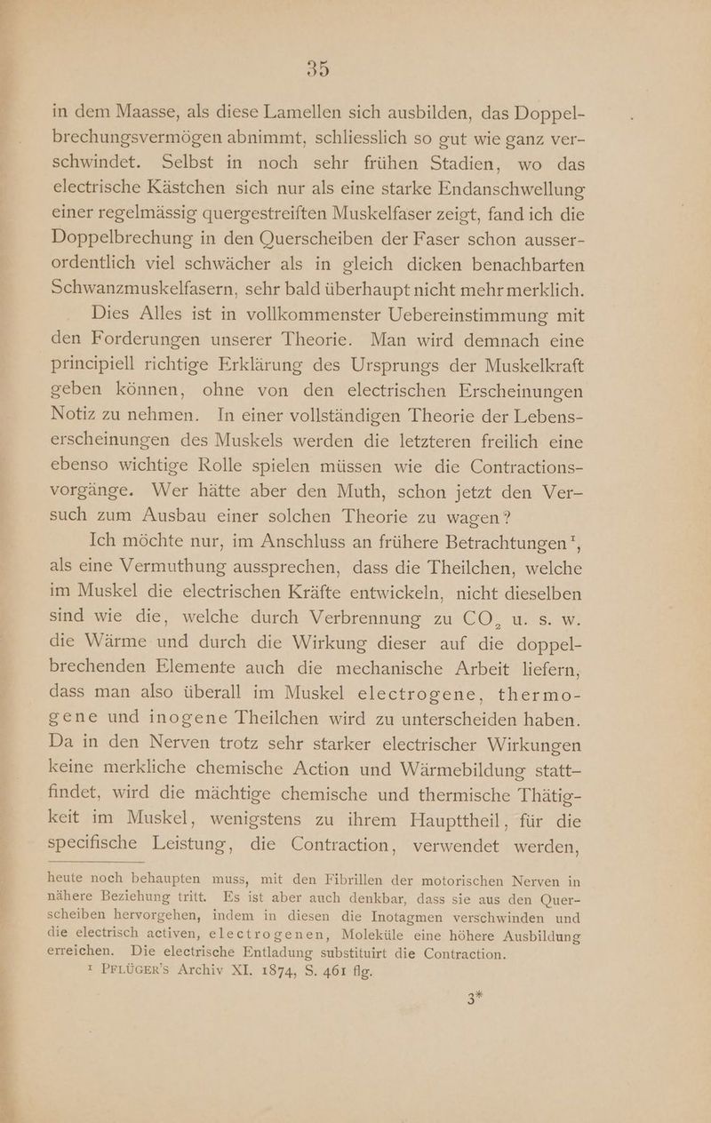in dem Maasse, als diese Lamellen sich ausbilden, das Doppel- brechungsvermögen abnimmt, schliesslich so gut wie ganz ver- schwindet. Selbst in noch sehr frühen Stadien, wo das electrische Kästchen sich nur als eine starke Endanschwellung einer regelmässig quergestreiften Muskelfaser zeigt, fand ich die Doppelbrechung in den Querscheiben der Faser schon ausser- ordentlich viel schwächer als in gleich dicken benachbarten Schwanzmuskelfasern, sehr bald überhaupt nicht mehr merklich. Dies Alles ist in vollkommenster Uebereinstimmung mit den Forderungen unserer Theorie. Man wird demnach eine principiell richtige Erklärung des Ursprungs der Muskelkraft geben können, ohne von den electrischen Erscheinungen Notiz zu nehmen. In einer vollständigen Theorie der Lebens- erscheinungen des Muskels werden die letzteren freilich eine ebenso wichtige Rolle spielen müssen wie die Contractions- vorgänge. Wer hätte aber den Muth, schon jetzt den Ver- such zum Ausbau einer solchen Theorie zu wagen ? Ich möchte nur, im Anschluss an frühere Betrachtungen‘, als eine Vermuthung aussprechen, dass die Theilchen, welche im Muskel die electrischen Kräfte entwickeln, nicht dieselben sind wie die, welche durch Verbrennung zu CO, u. s. w. die Wärme und durch die Wirkung dieser auf die doppel- brechenden Elemente auch die mechanische Arbeit liefern, dass man also überall im Muskel electrogene, thermo- gene und inogene Theilchen wird zu unterscheiden haben. Da in den Nerven trotz sehr starker electrischer Wirkungen keine merkliche chemische Action und Wärmebildung statt- findet, wird die mächtige chemische und thermische Thätig- keit im Muskel, wenigstens zu ihrem Haupttheil, für die specifische Leistung, die Contraction, verwendet werden, heute noch behaupten muss, mit den Fibrillen der motorischen Nerven in nähere Beziehung tritt. Es ist aber auch denkbar, dass sie aus den Quer- scheiben hervorgehen, indem in diesen die Inotagmen verschwinden und die electrisch activen, electrogenen, Moleküle eine höhere Ausbildung erreichen. Die electrische Entladung substituirt die Contraction. ı PFLÜGER’S Archiv XI. 1874, S. 461 fig. 3#