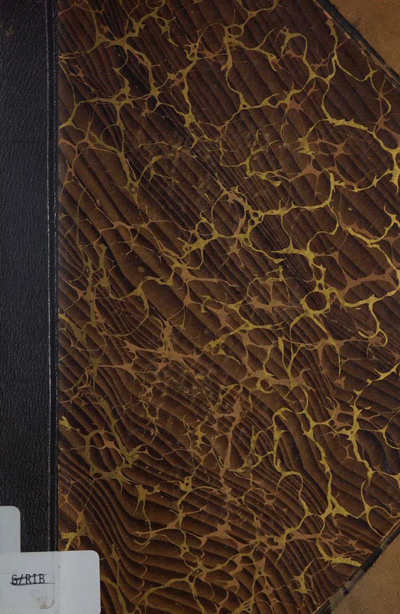 ET Tr en ann ann are en en WEN TE ee arm TRANS ES a mem ee me naar