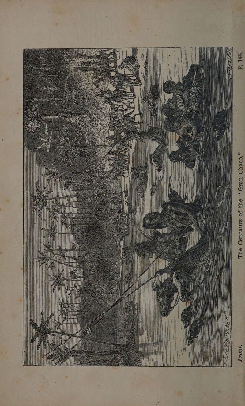 The Centaurs of the ‘‘ Gran Chaco,” Front.