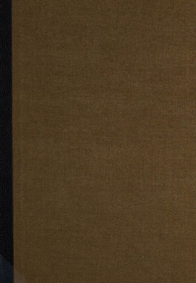 digitised image 1