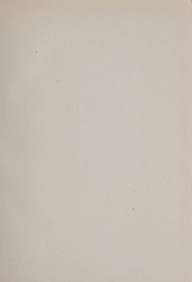 digitised image 3