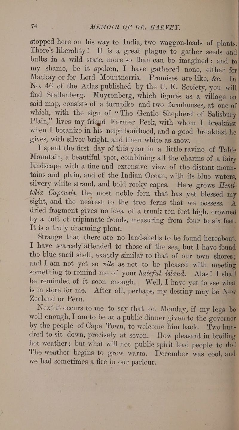 stopped here on his way to India, two waggon-loads of plants, There’s liberality! It is a great plague to gather seeds and bulbs in a wild state, more so than can be imagined; and to my shame, be it spoken, I have gathered none, either for Mackay or for Lord Mountnorris. Promises are like, &amp;c. In No. 46 of the Atlas published by the U. K. Society, you will find Stellenberg. Muyrenberg, which figures as a village on said map, consists of a turnpike and two farmhouses, at one of which, with the sign of “The Gentle Shepherd of Salisbury Plain,” lives my friend Farmer Peck, with whom I breakfast. when I botanize in his neighbourhood, and a good breakfast he : gives, with silver bright, and linen white as snow. : I spent the first day of this year in a little ravine of Table Mountain, a beautiful spot, combining all the charms of a fairy landscape with a fine and extensive view of the distant moun- tains and plain, and of the Indian Ocean, with its blue waters, silvery white strand, and bold rocky capes. Here erows Hemi- tela Capensis, the most noble fern that has yet blessed my sight, and the nearest to the tree ferns that we possess. A dried fragment gives no idea of a trunk ten feet high, crowned by a tuft of tripinnate fronds, measuring from four to six feet. It is a truly charming plant. a Strange that there are no land-shells to be found hereabout. I have scarcely attended to those of the sea, but I have found the blue snail shell, exactly similar to that of our own shores; and Iam not yet so vile as not to be pleased with meeting something to remind me of your hateful island. Alas! I shall be reminded of it soon enough. Well, I have yet to see what is in store forme. After all, perhaps, my destiny may be New Zealand or Peru. q Next it occurs to me to say that on Monday, if my legs be well enough, I am to be at a public dinner given to the governor by the people of Cape Town, to welcome him back. Two hun- dred to sit down, precisely at seven. How pleasant in broiling hot weather; but what will not public spirit lead people to do! The weather begins to grow warm. December was cool, and we had sometimes a fire in our parlour.