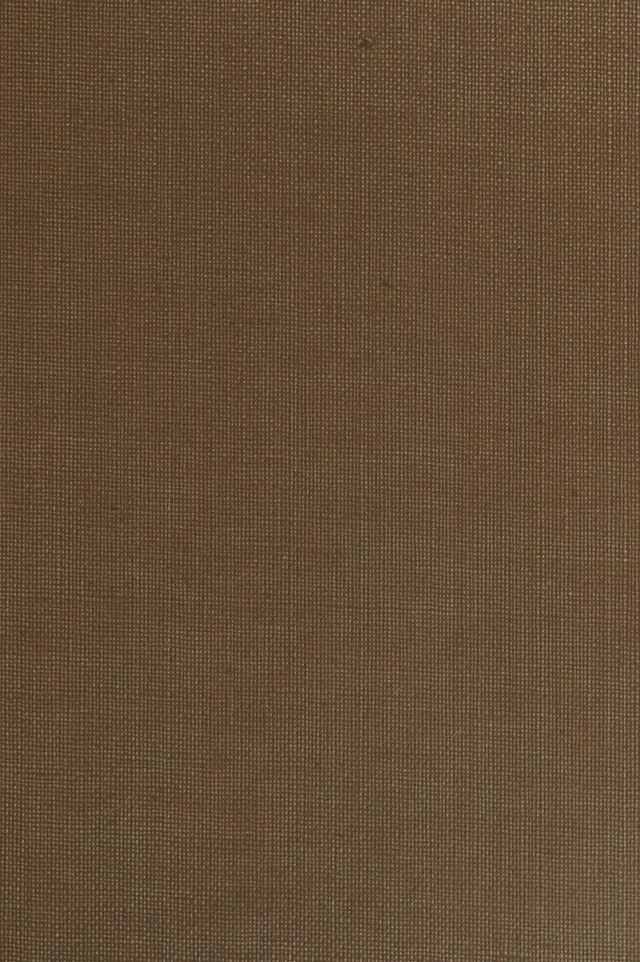 digitised image 1