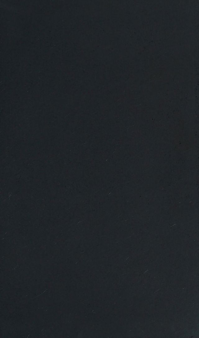 digitised image 3