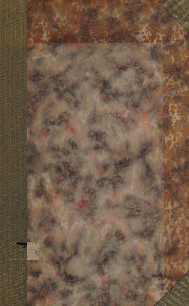 digitised image 1
