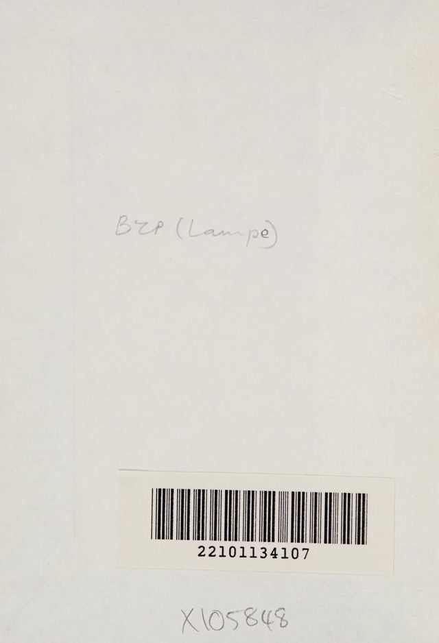 digitised image 2