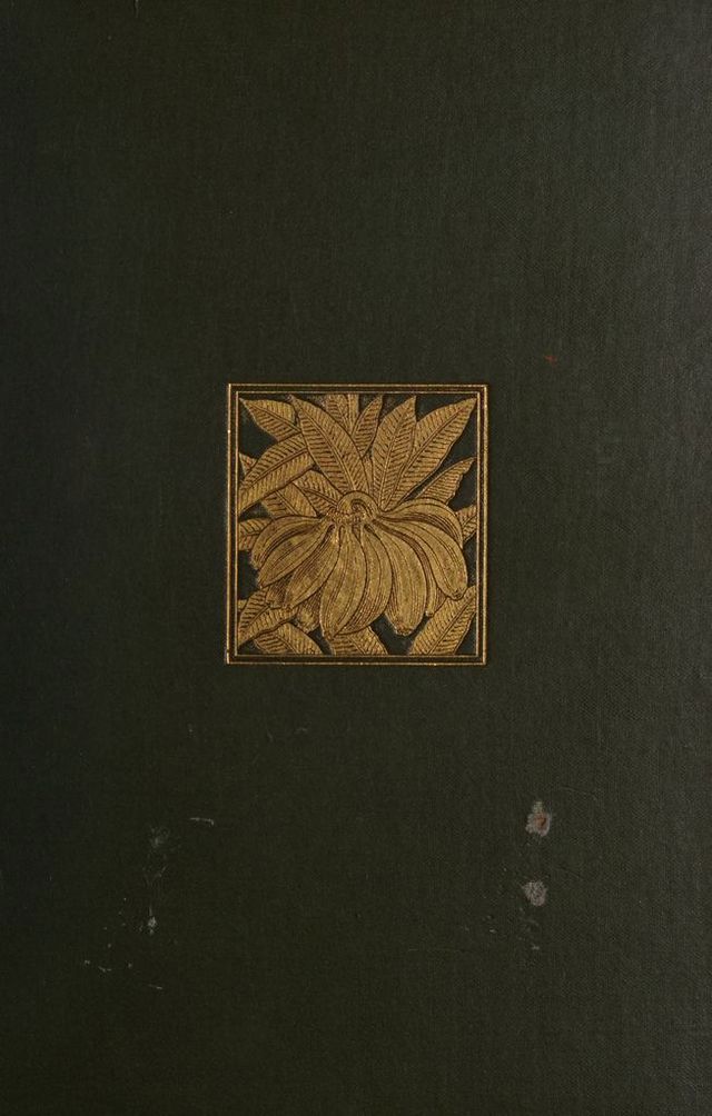 digitised image 1