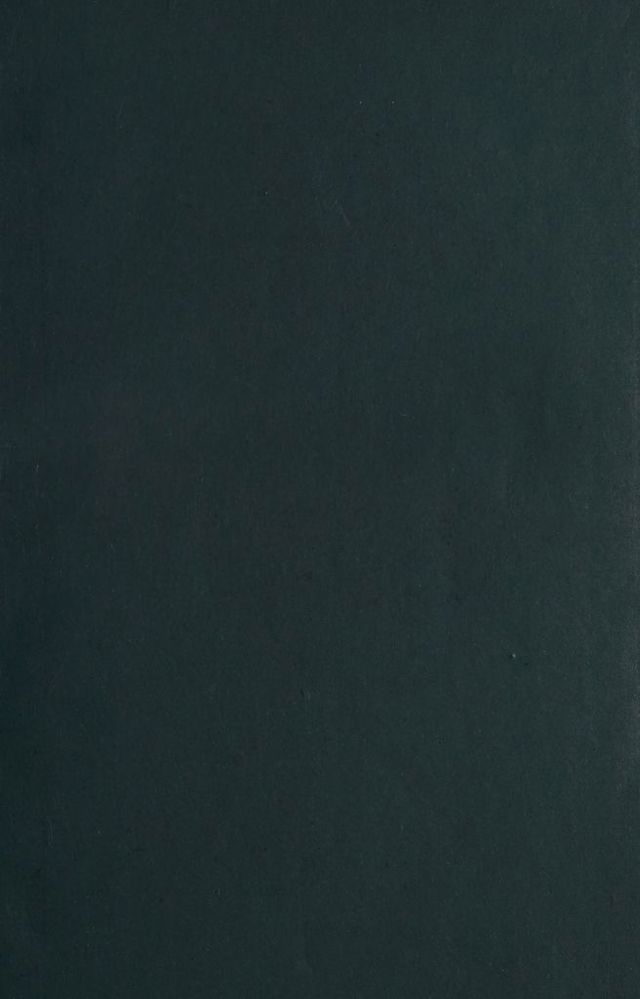 digitised image 3