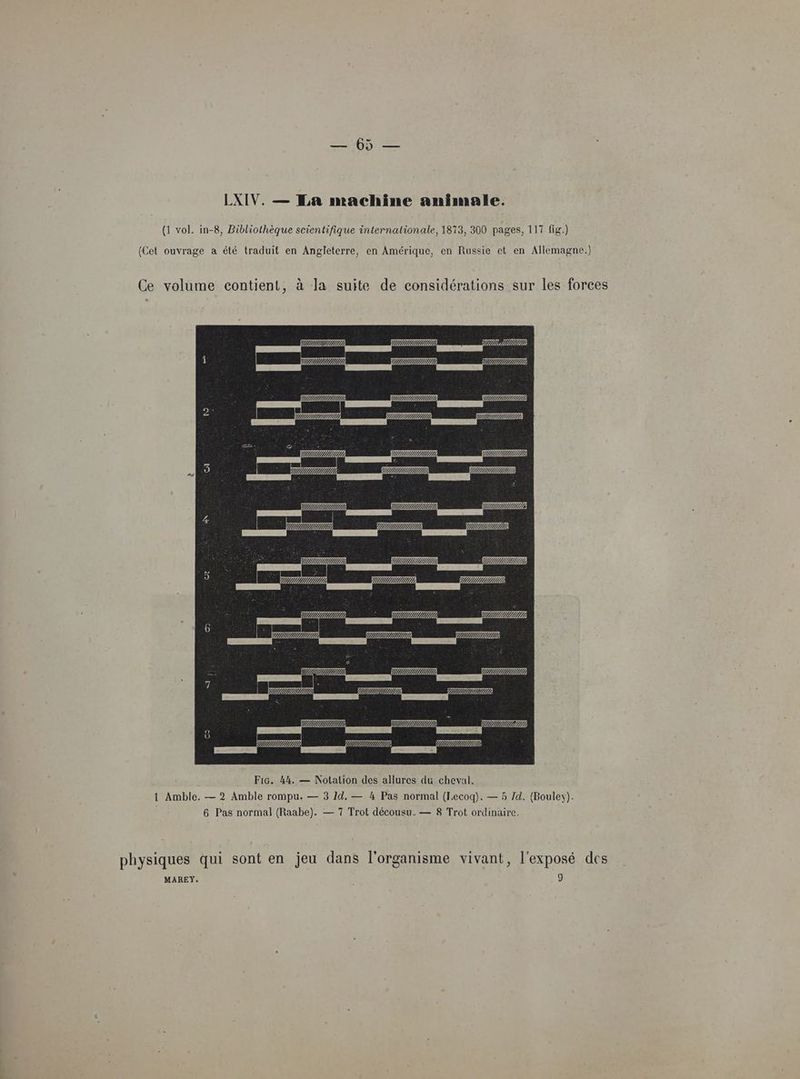 EE LXIV. — La machine animale. (1 vol. in-8, Bibliothèque scientifique internationale, 1813, 300 pages, 117 fig.) (Cet ouvrage a été traduit en Angleterre, en Amérique, en Russie ct en Allemagne.) Ce volume contient, à la suite de considérations sur les forces physiques qui sont en jeu dans l'organisme vivant, l'exposé des MAREY. ù g