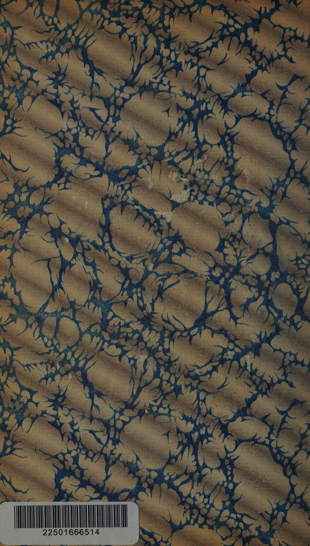 digitised image 2
