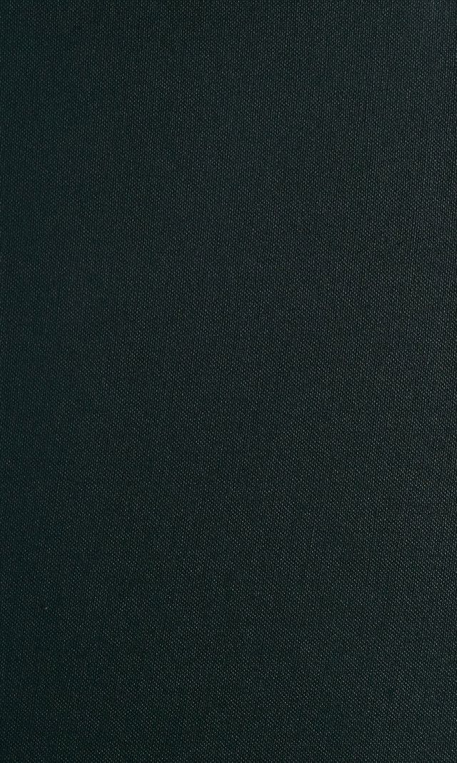 digitised image 1