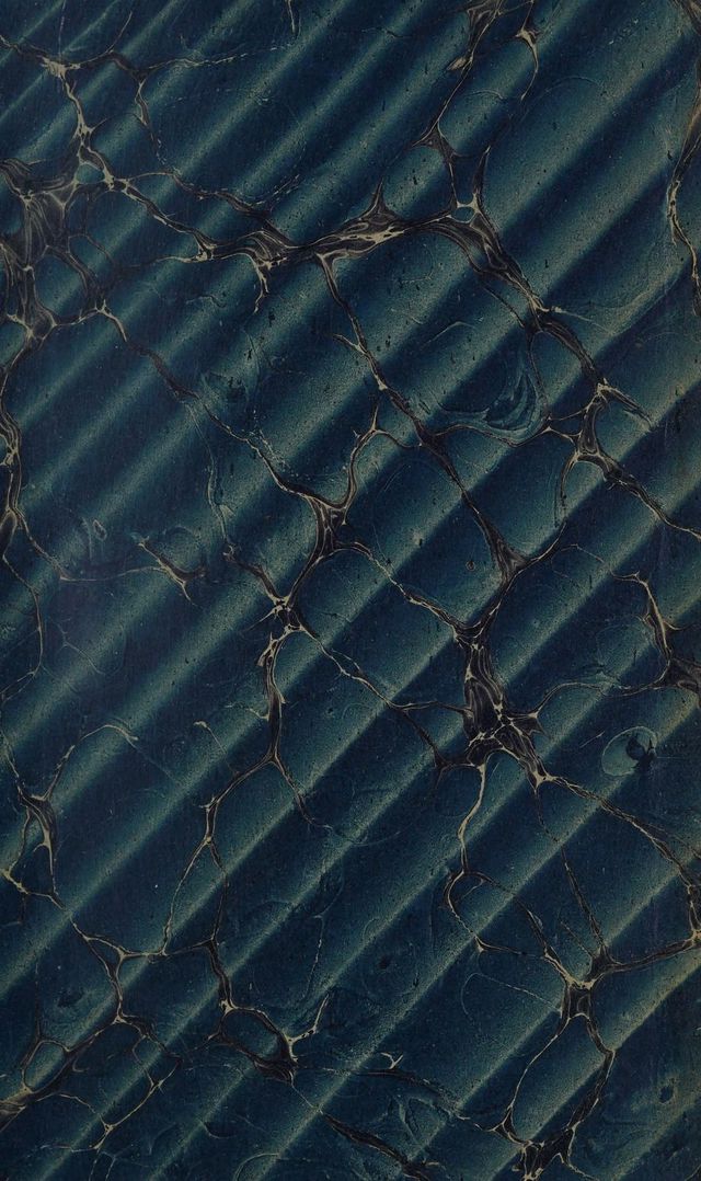 digitised image 3