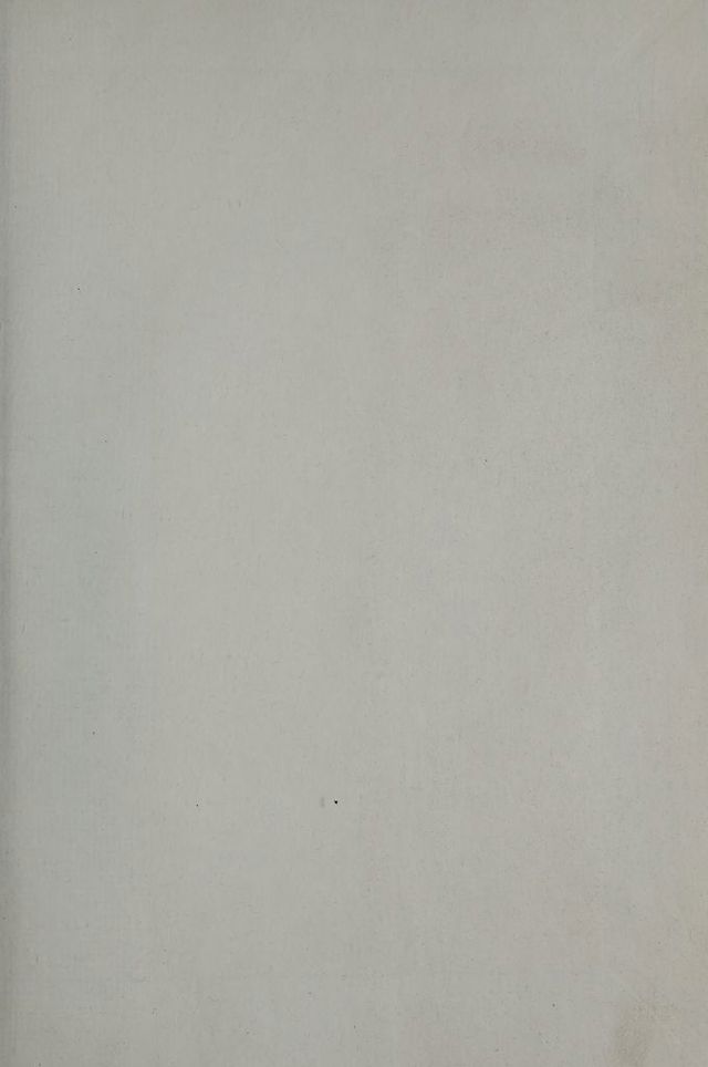 digitised image 3