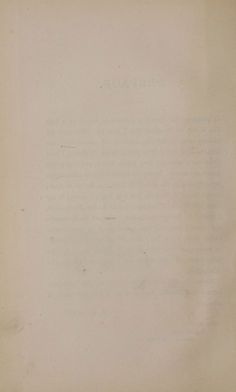¥ ‘ c ‘ a : * ” .* h “ i ’ ' a pil ' ™ By ‘ . po Ls sy ¢ j wet + ‘ ¢ vi af : ar and) ‘ , p - ' 7 Dy tin Mi it via) ves , ae) ‘ Mee a cians, eae im | ‘ t ‘ a a fe oh srg { \ or wer A tea, 8 ‘ {t gS ) 5 ; ’ ' ; . t ‘ a, ‘ ' ¥ ; é 4 | / . by “ ’ i * * ’ . f we “ A 7 . » ! = 7 ee *-, j heey aif Me tate ’ ; ‘ ¢ 5 ; \ , ‘ @ M e \ . . nyt f pas 4 RO | atts Paces ee pe reo aieate ve aren Ay vpn MG *