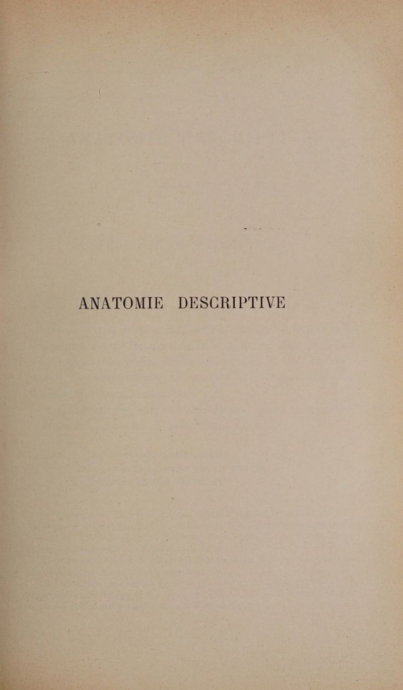 TOMIE DESGRIPTIVE 110