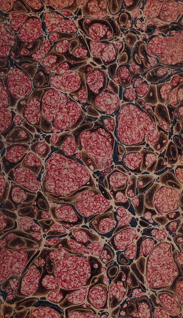 digitised image 3