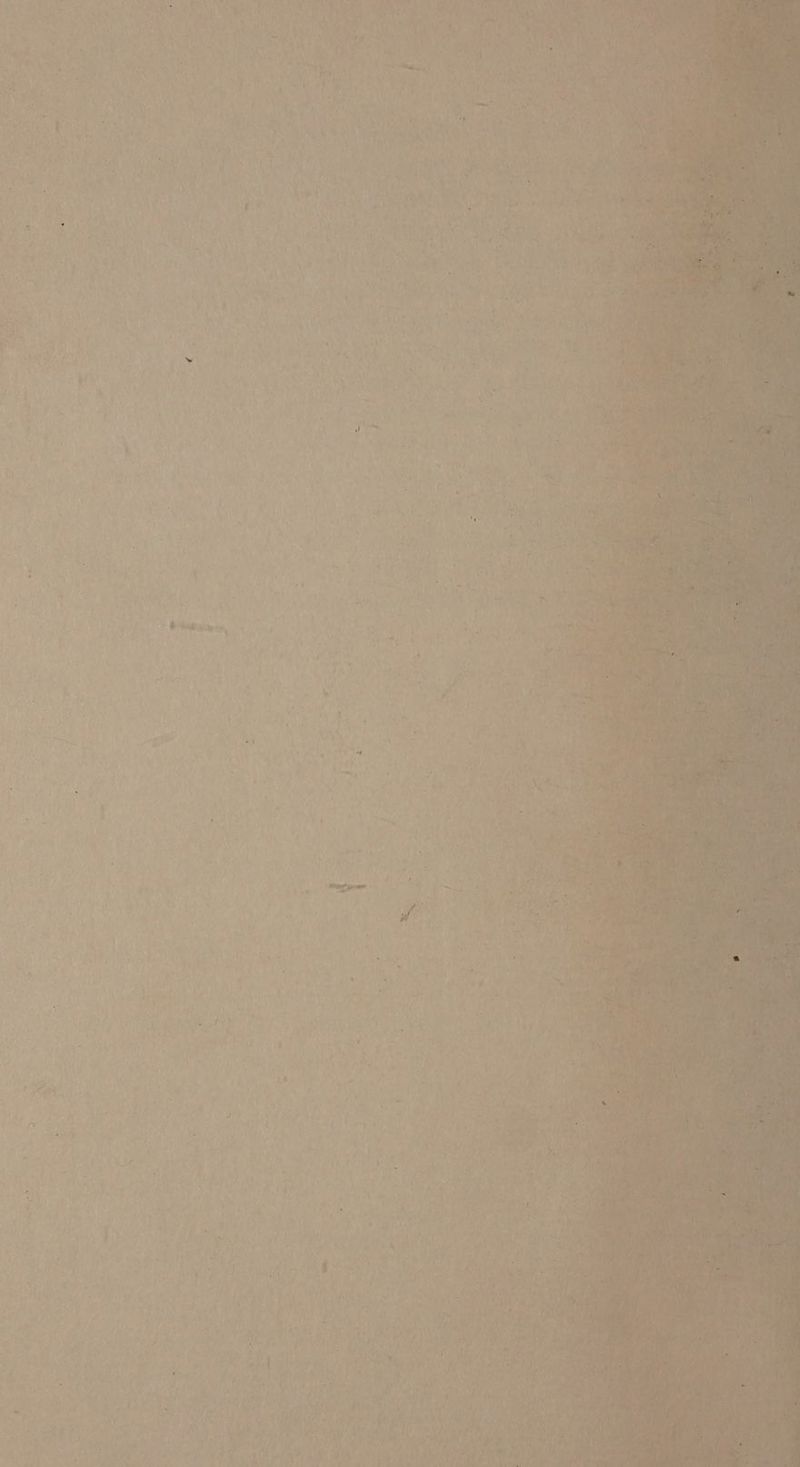 A A7 % * *t * LE à 4 à TU h # \ ÿ 23 CRE, a LAAT 19 24 (#9 1