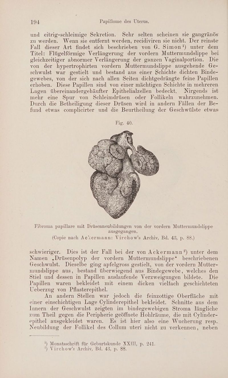 und eitrig-schleimige Sekretion. Sehr selten scheinen sie gangränös zu werden. Wenn sie entfernt werden, recidiviren sie nicht. Der reinste Fall dieser Art findet sich beschrieben von G@. Simon!) unter dem Titel: Flügelförmige Verlängerung der vordern Muttermundslippe bei gleichzeitiger abnormer Verlängerung der ganzen Vaginalportion. Die von der hypertrophirten vordern Muttermundslippe ausgehende Ge- schwulst war gestielt und bestand aus einer Schichte dichten Binde- gewebes, von der sich nach allen Seiten dichtgedrängte feine Papillen erhoben. Diese Papillen sind von einer mächtigen Schichte in mehreren Lagen übereinandergehäufter Epithelialzellen bedeckt. Nirgends ist mehr eine Spur von Schleimdrüsen oder Follikeln wahrzunehmen. Durch die Betheiligung dieser Drüsen wird in andern Fällen der Be- fund etwas complicirter und die Beurtheilung der Geschwülste etwas Fibroma papillare mit Drüsenneubildungen von der vordern Muttermundslippe ausgegangen. (Copie nach Ackermann: Virchow’s Archiv, Bd. 43, p. 88.) schwieriger. Dies ist der Fall bei der von Ackermann?) unter dem Namen „Drüsenpolyp der vordern Muttermundslippe* beschriebenen Geschwulst. Dieselbe ging apfelgross gestielt, von der vordern Mutter- mundslippe aus, bestand überwiegend aus Bindegewebe, welches den Stiel und dessen in Papillen auslaufende Verzweigungen bildete. Die Papillen waren bekleidet mit einem dicken vielfach geschichteten Ueberzug von Pflasterepithel. An andern Stellen war jedoch die feinzottige Oberfläche mit einer einschichtigen Lage Cylinderepithel bekleidet. Schnitte aus dem Innern der Geschwulst zeigten im bindegewebigen Stroma längliche zum Theil gegen die Peripherie geöffnete Hohlräume, die mit Cylinder- epithel ausgekleidet waren. Es ist hier also eine Wucherung resp. Neubildung der Follikel des Collum uteri nicht zu verkennen, neben — ee !) Monatsschrift für Geburtskunde XXIII, p. 241. ”) Virchow’s Archiv, Bd. 43, p. 88.