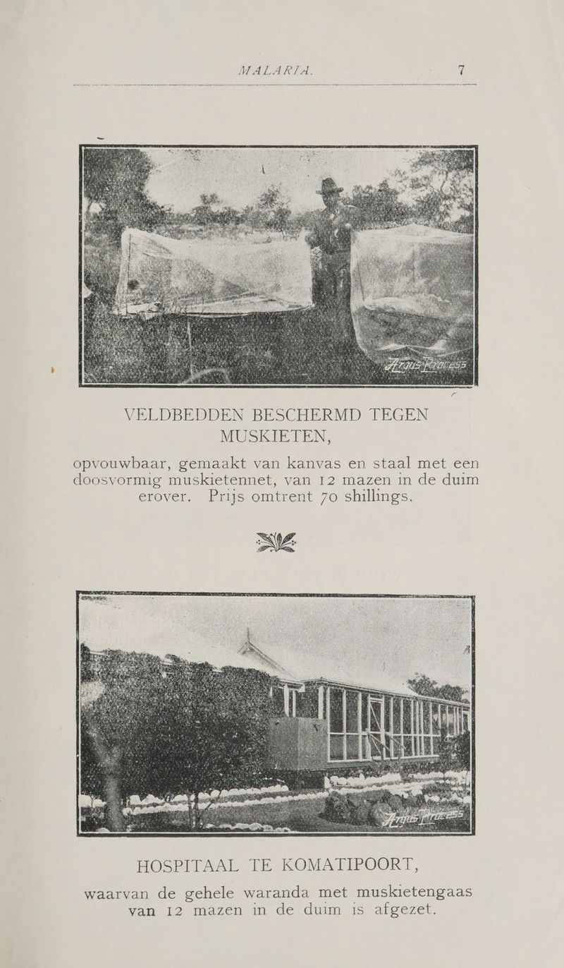 VELDBEDDEN BESCHERMD TEGEN MUSKIETEN, opvouwbaar, gemaakt van kanvas en staal met een doosvormig muskietennet, van 12 mazen in de duim erover. Prys omtrent 70 shuilngs. waarvan de gehele waranda met muskietengaas van 12 mazen in de duim is afgezet.