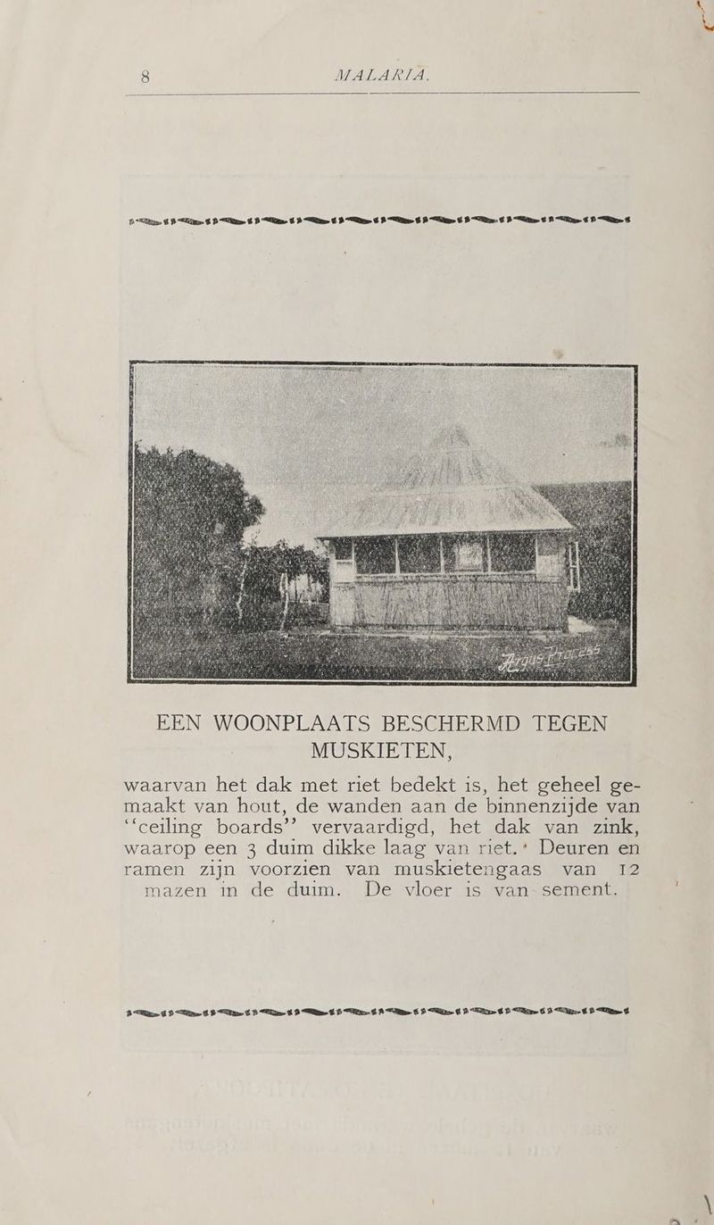 PER, d P Es $ P ns d P En d P Ee d P Er d Re d Pa d Es d Pe $ PR $ P Ed waarvan het dak met riet bedekt is, het geheel ge- maakt van hout, de wanden aan de binnenzijde van “ceiling boards'” vervaardigd, het dak van zink, waarop een 3 duim dikke laag van riet.' Deuren en ramen zijn voorzien van muskietengaas van 12 mazen in de duim. De vloer is van-sement. Ds d P se d P ER € P EE d P Ee d P PEER é RE € PUPIL d P TR 6 D TM d PERE d
