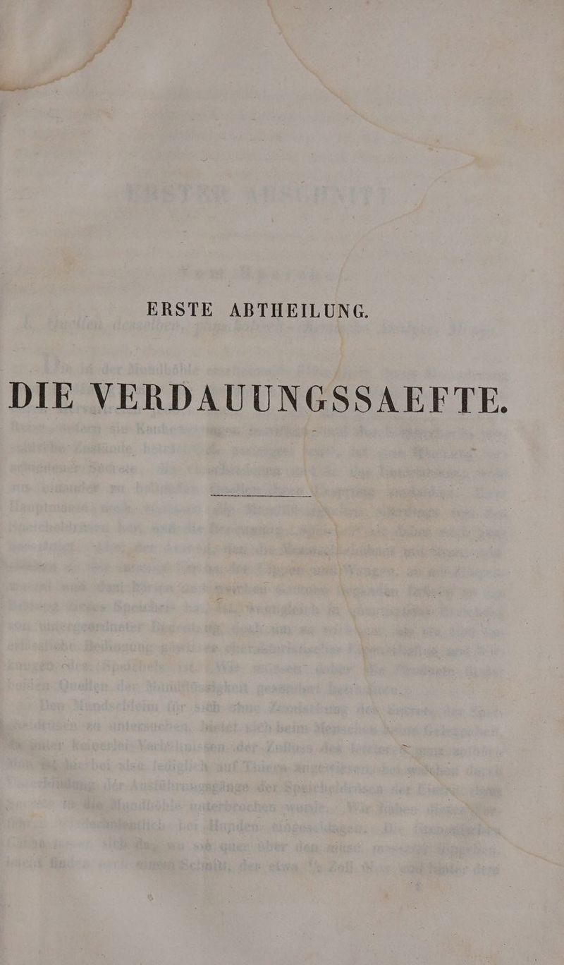 ERSTE ABTHEILUNG. DIE VERDAUUNGSSAEFTE.