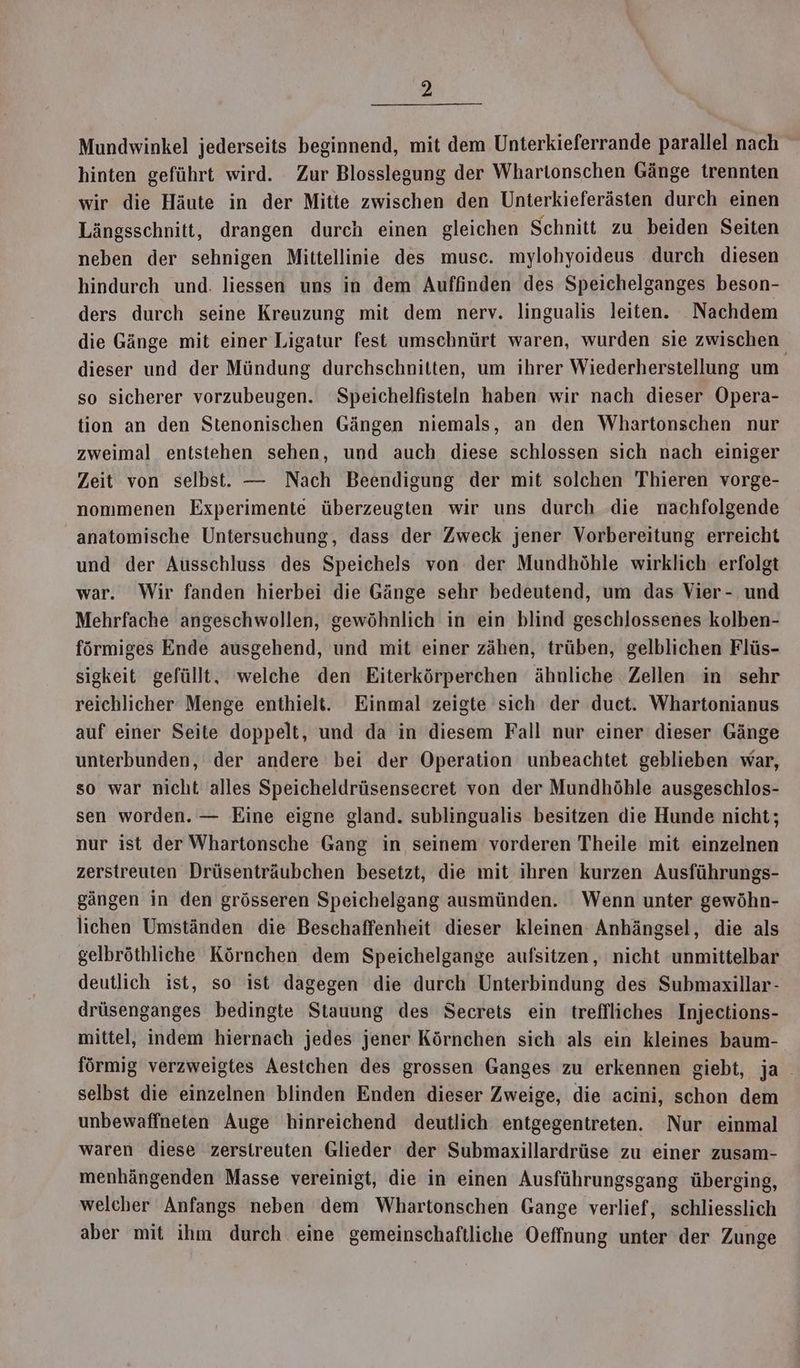 Mundwinkel jederseits beginnend, mit dem Unterkieferrande parallel nach hinten geführt wird. Zur Blosslegung der Whartonschen Gänge trennten wir die Häute in der Mitte zwischen den Unterkieferästen durch einen Längsschnitt, drangen durch einen gleichen Schnitt zu beiden Seiten neben der sehnigen Mittellinie des musc. mylohyoideus durch diesen hindurch und. liessen uns in dem Auffinden des Speichelganges beson- ders durch seine Kreuzung mit dem nerv. lingualis leiten. Nachdem die Gänge mit einer Ligatur fest umschnürt waren, wurden sie zwischen dieser und der Mündung durchschnitten, um ihrer Wiederherstellung um so sicherer vorzubeugen. Speichelfisteln haben wir nach dieser Opera- tion an den Stenonischen Gängen niemals, an den Whartonschen nur zweimal entstehen sehen, und auch diese schlossen sich nach einiger Zeit von selbst. — Nach Beendigung der mit solchen Thieren vorge- nommenen Experimente überzeugten wir uns durch die nachfolgende anatomische Untersuchung, dass der Zweck jener Vorbereitung erreicht und der Ausschluss des Speichels von der Mundhöhle wirklich erfolgt war. Wir fanden hierbei die Gänge sehr bedeutend, um das Vier- und Mehrfache angeschwollen, gewöhnlich in ein blind geschlossenes kolben- förmiges Ende ausgehend, und mit einer zähen, trüben, gelblichen Flüs- sigkeit gefüllt, welche den Eiterkörperchen ähnliche Zellen in sehr reichlicher Menge enthielt. Einmal zeigte sich der duet. Whartonianus auf einer Seite doppelt, und da in diesem Fall nur einer dieser Gänge unterbunden, der andere bei der Operation unbeachtet geblieben war, so war nicht alles Speicheldrüsensecret von der Mundhöhle ausgeschlos- sen worden. — Eine eigne gland. sublingualis besitzen die Hunde nicht; nur ist der Whartonsche Gang in seinem vorderen Theile mit einzelnen zerstreuten Drüsenträubchen besetzt, die mit ihren kurzen Ausführungs- gängen in den grösseren Speichelgang ausmünden. Wenn unter gewöhn- lichen Umständen die Beschaffenheit dieser kleinen: Anhängsel, die als gelbröthliche Körnchen dem Speichelgange aufsitzen, nicht unmittelbar deutlich ist, so ist dagegen die durch Unterbindung des Submaxillar- drüsenganges bedingte Stauung des Secrets ein treffliches Injections- mittel, indem hiernach jedes jener Körnchen sich als ein kleines baum- förmig verzweigtes Aesichen des grossen Ganges zu erkennen giebt, ja . selbst die einzelnen blinden Enden dieser Zweige, die acini, schon dem unbewaffneten Auge hinreichend deutlich entgegentreten. Nur einmal waren diese zersireuten Glieder der Submaxillardrüse zu einer zusam- menhängenden Masse vereinigt, die in einen Ausführungsgang überging, welcher Anfangs neben dem Whartonschen Gange verlief, schliesslich aber mit ihm durch eine gemeinschaftliche Oeffnung unter der Zunge