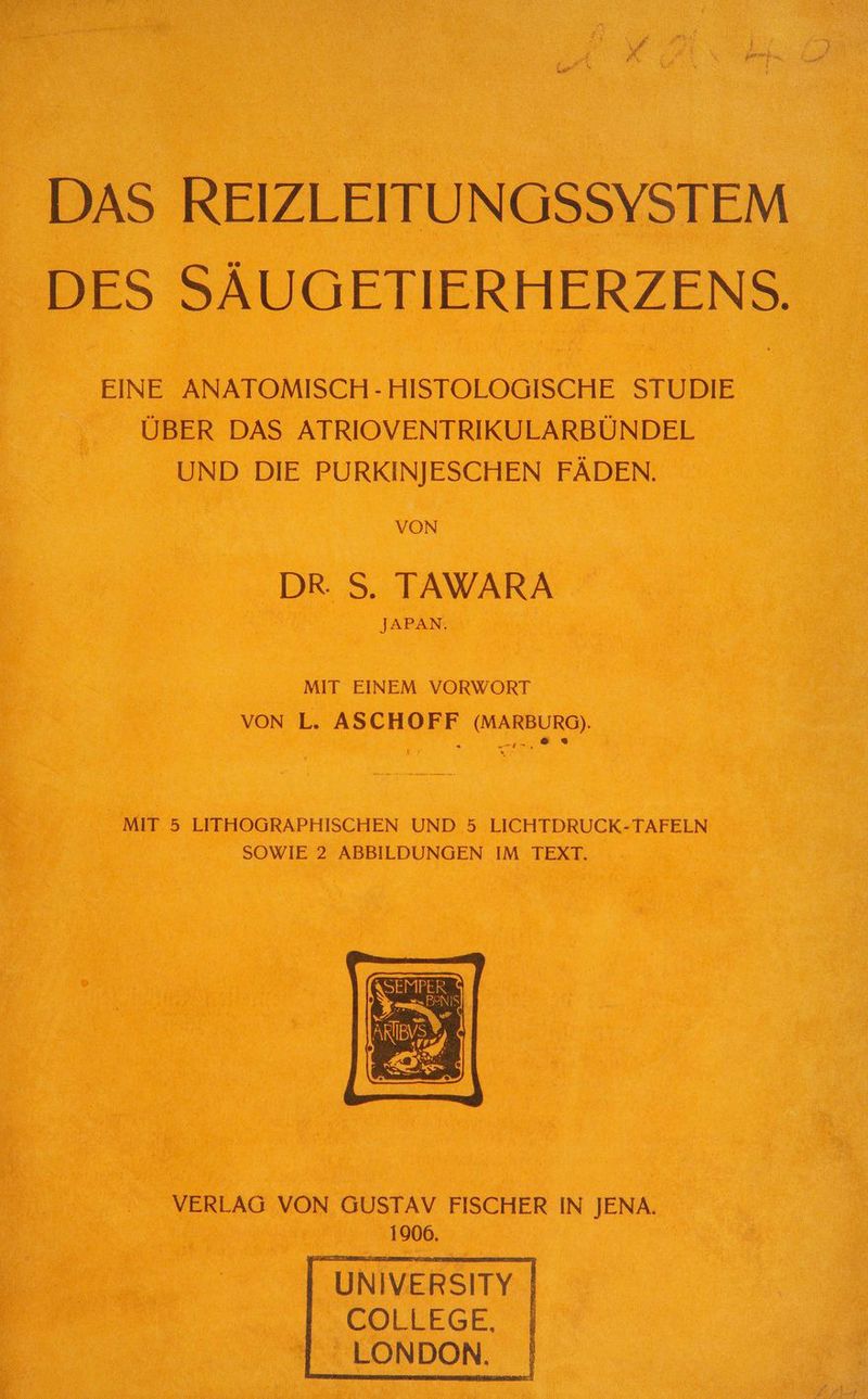 DES SÄUGETIERHERZENS. EINE ANATOMISCH - HISTOLOGISCHE STUDIE ÜBER DAS ATRIOVENTRIKULARBÜNDEL UND DIE PURKINJESCHEN FÄDEN. VON DR. S. TAWARA JAPAN. MIT EINEM VORWORT VON L. ASCHOFF (MARBURG).