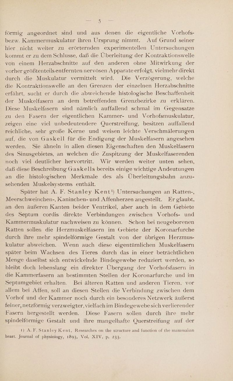 förmig angeordnet sind und aus denen die eigentliche Vorhofs- bezw. Kammermuskulatur ihren Ursprung nimmt. Auf Grund seiner hier nicht weiter zu erörternden experimentellen Untersuchungen kommt er zu dem Schlusse, daß die Überleitung der Kontraktionswelle von einem Herzabschnitte auf den anderen ohne Mitwirkung der vorher größtenteils entfernten nervösen Apparate erfolgt, vielmehr direkt durch die Muskulatur vermittelt wird. Die Verzögerung, welche die Kontraktionswelle an den Grenzen der einzelnen Herzabschnitte erfährt, sucht er durch die abweichende histologische Beschaffenheit der Muskelfasern an dem betreffenden Grenzbezirke zu erklären. Diese Muskelfasern sind nämlich auffallend schmal im Gegensatze zu den Fasern der eigentlichen Kammer- und Vorhofsmuskulatur, zeigen eine viel unbedeutendere Querstreifung, besitzen auffallend reichliche, sehr große Kerne und weisen leichte Verschmälerungen auf, die von Gaskell für die Endigung der Muskelfasern angesehen werden. Sie ähneln in allen diesen Eigenschaften den Muskelfasern des Sinusgebietes, an welchen die Zuspitzung der Muskelfaserenden noch viel deutlicher hervortritt. Wir werden weiter unten sehen, daß diese Beschreibung (raskells bereits einige wichtige Andeutungen an die histologischen Merkmale des als Überleitungsbahn anzu- sehenden Muskelsystems enthält. Später hat A. F. Stanley Kent!) Untersuchungen an Ratten-, Meerschweinchen-, Kaninchen- und Affenherzen angestellt. Er glaubt, an den äußeren Kanten beider Ventrikel, aber auch in dem (zsebiete des Septum cordis direkte Verbindungen zwischen Vorhofs- und Kammermuskulatur nachweisen zu können. Schon bei neugeborenen Ratten sollen die Herzmuskelfasern im (zebiete der Koronarfurche durch ihre mehr spindelförmige (restalt von der übrigen Herzmus- kulatur abweichen. Wenn auch diese eigentümlichen Muskelfasern später beim Wachsen des Tieres durch das in einer beträchtlichen Menge daselbst sich entwickelnde Bindegewebe reduziert werden, so bleibt doch lebenslang ein direkter Übergang der Vorhofsfasern in die Kammerfasern an bestimmten Stellen der Koronarfurche und im Septumgebiet erhalten. Bei älteren Ratten und anderen Tieren, vor allem bei Affen, soll an diesen Stellen die Verbindung zwischen dem Vorhof und der Kammer noch durch ein besonderes Netzwerk äußerst feiner, netzförmig verzweigter, vielfach im Bindegewebesich verlierender Fasern hergestellt werden. Diese Fasern sollen durch ihre mehr ‚spindelförmige Gestalt und ihre mangelhafte Querstreifung auf der I) A. F. Stanley Kent, Researches on the structure and function of the mammalian heart. Journal of physioiogy, 1893, Vol. XIV, p. 233.